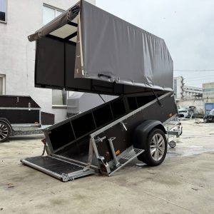 IMG_7902 Причіп бортовий без гальмівний